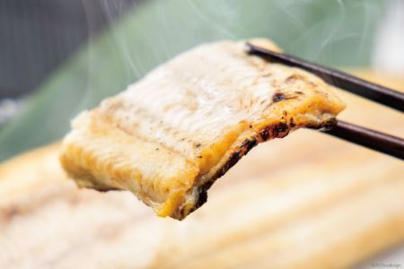 うなぎ 国産 静岡 うなぎ白焼 150g 以上× 2尾 タレ 山椒 付き [大井川うなぎ 静岡県 吉田町 22424463]