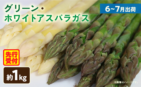 グリーン・ホワイトアスパラガス約1.0kg（6～7月出荷）_mk002-004