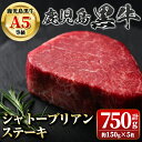 【ふるさと納税】鹿児島黒牛 希少部位 シャトーブリアン(計約750g・約150g×5枚) 牛肉専門店自慢のお肉 鹿児島 国産 九州産 牛肉 黒牛 鹿児島黒牛 A5 等級 霜ぶり 霜降り 厚切り ステーキ ギフト 贈答【新村畜産】