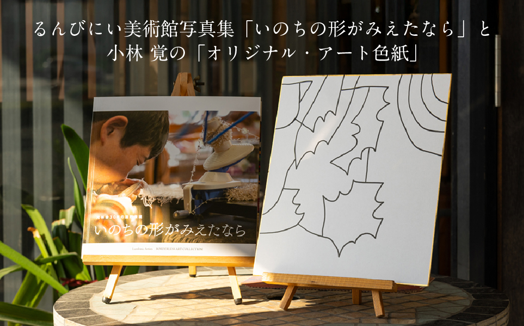 るんびにい美術館写真集「いのちの形がみえたなら」小林覚の「オリジナル・アート色紙」 【2310】