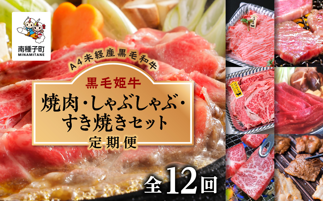 【定期便】焼肉・しゃぶしゃぶ・すき焼きセット（全12回）【Meat you Kitchen姫ファーム】