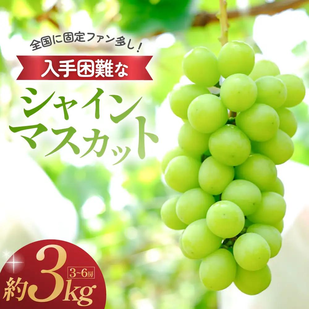 シャインマスカット 3kg 3房～6房 山梨シャインマスカット