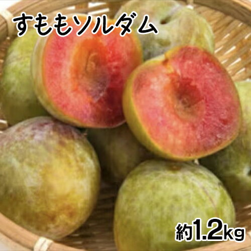 【ふるさと納税】 【2025年発送先行予約】すももソルダム 約1.2kg ふるさと納税 すもも ソルダム プラム 果物 フルーツ おすすめ 山梨県 南アルプス市 送料無料 ALPCZ003