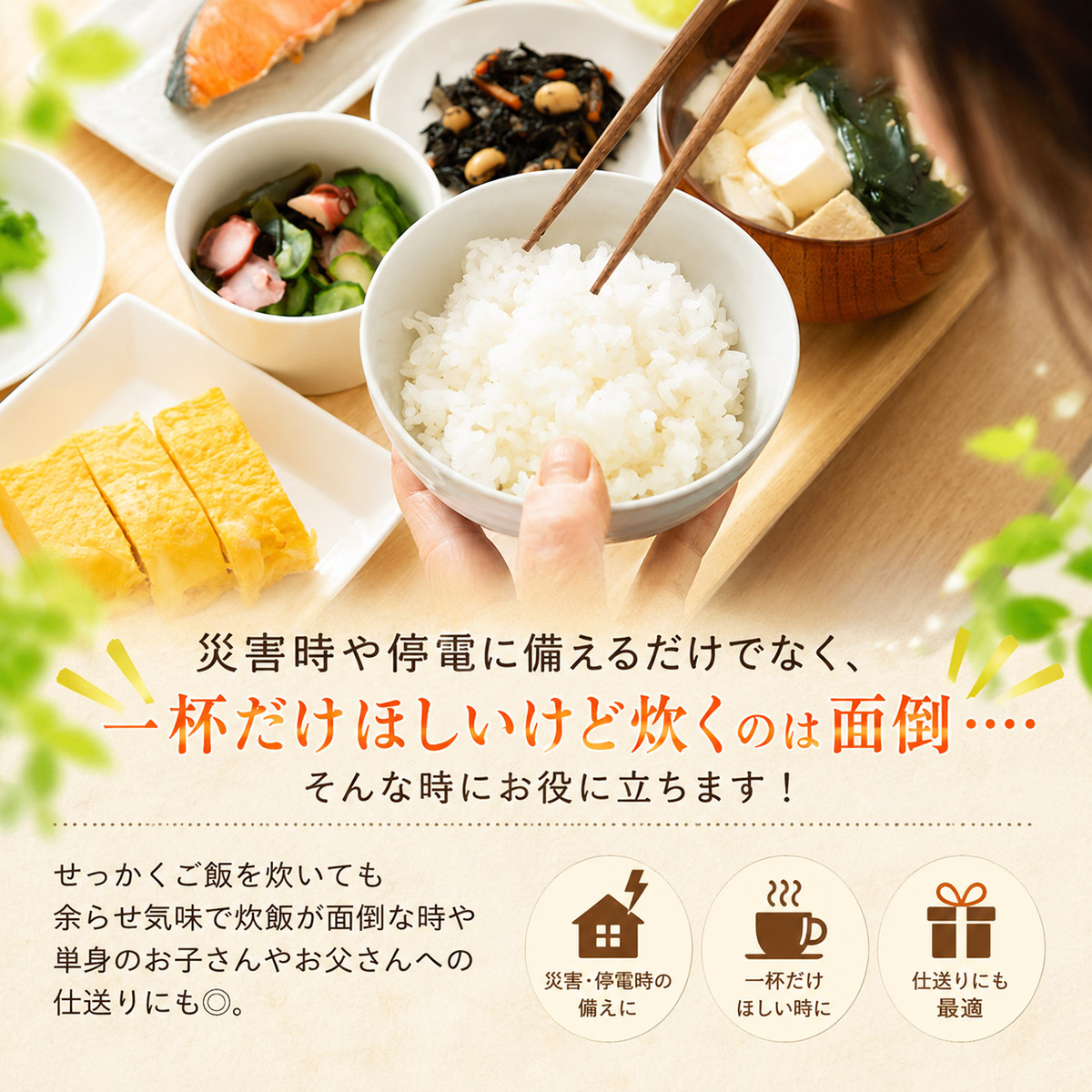 山形県産 はえぬきパックライス 180g × 24食セット | お米 コメ ライス ごはん パックご飯 白飯 白米 食品 お手軽 レンジ 湯煎 一人暮らし 常温保存 備蓄 非常食 保存食 防災 ローリ