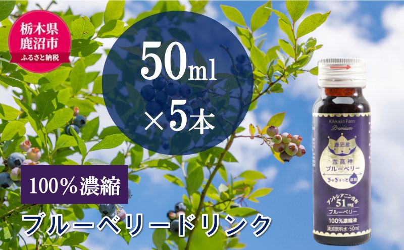 無添加 砂糖不使用 のぎゅぎゅっと 100％ 濃縮 ブルーベリードリンク 1箱 （50ml×5本） 果汁飲料 野菜飲料 ブルーベリージュース 美味しい 濃縮し 高糖度 添加物 安全 安心 アントシアニン 手軽 飲み物 