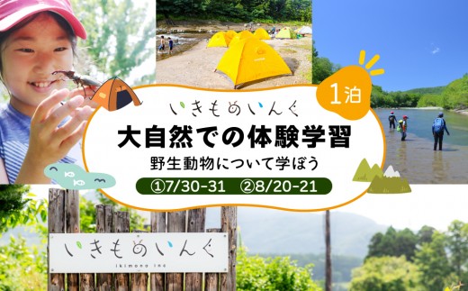 
                  ＜2026年 7月・8月＞ 大自然での子ども体験学習キャンプ 野生動物について学ぼう！【imi-001-sku】北海道 伊達市 アウトドア 自然体験 体験チケット
                