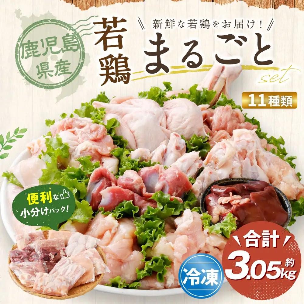 鹿児島県産 若鶏まるごと 約3.05kgセット 若鶏 もも肉 モモ肉 カット むね肉 ささみ 砂肝 肝 手羽先 手羽中 手羽元 肩肉 せせり 骨付きもも肉 小分け 鶏肉 冷凍_ss1654_CR