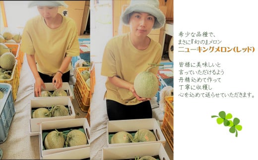 ＜2026年7月下旬よりお届け＞北海道壮瞥産 赤肉メロン（ニューキングメロン）2玉 約3kg SBTN003