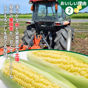 とうもろこし 5kg スイートコーン おおもの とうもろこし