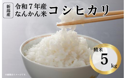 令和7年産新潟県産コシヒカリ 難関突破米 精米5kg