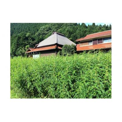 ふるさと納税 山口市 カワラケツメイ茶飲み比べセット E028 |  | 01