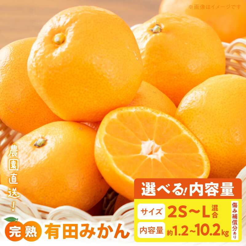 【ふるさと納税】【2026年先行予約】 【限定】 農家直送 完熟 有田みかん 2S S M L サイズ 選べる 内容量 約 1.2kg ～ 10.2kg みかん 柑橘 果物 果実 フルーツ デザート 甘み 酸味 有田産 食品 常温 お取り寄せ 和歌山県 湯浅町 送料無料