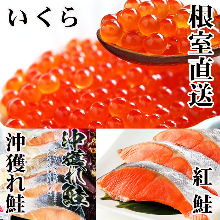 【ふるさと納税】 甘塩紅鮭5切×10P、甘塩沖獲れ鮭5切×10P、いくら醤油漬け100g×5Pセット サケ さけ しゃけ シャケ 紅ザケ べにざけ ベニザケ イクラ 醤油 醤油漬 魚卵 鮭卵 お取り寄せ グルメ 海鮮 北海道 根室市 E-30002