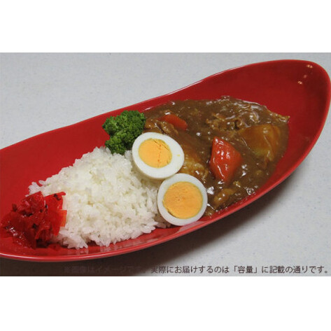 ARITA PORCELAIN LAB(アリタポーセリンラボ) 赤釉・ペア楕円皿(中) 有田焼 モダン パスタ皿 カレー皿 A35-216_イメージ2