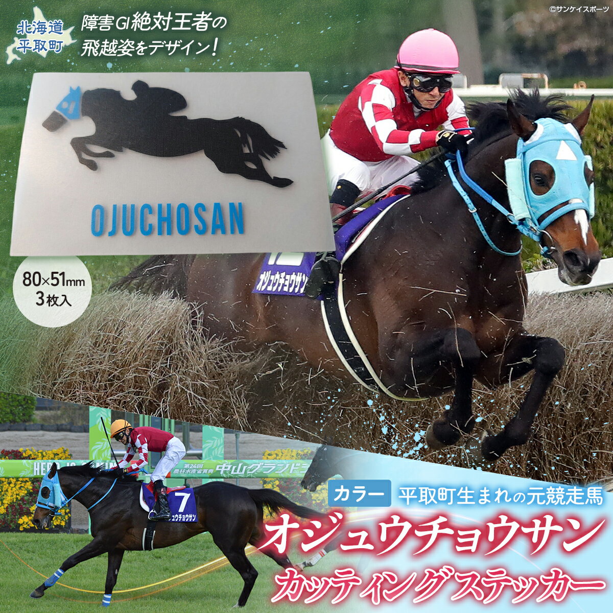 【ふるさと納税】【オジュウチョウサン】カッティングステッカー（カラー）3枚入り【 ふるさと納税 人気 おすすめ ランキング 馬 競馬 競走馬 引退馬 オジュウチョウサン 北海道 平取町 送料無料】 BRTV021