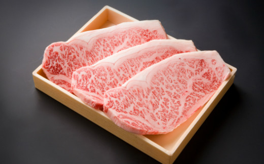 
豊後牛 サーロイン ステーキ(計600g・200g×3枚)牛肉 お肉 肉 焼き肉 バーベキュー 冷凍 国産 和牛 大分県産【106401900】【まるひで】
