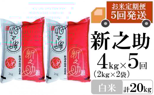 【令和7年産新米・5ヶ月定期便】新之助 白米 4kg（2kg×2袋）×5回（計 20kg）ヤタらうんめぇお米 水田環境鑑定士在籍 しんのすけ[Y0182]