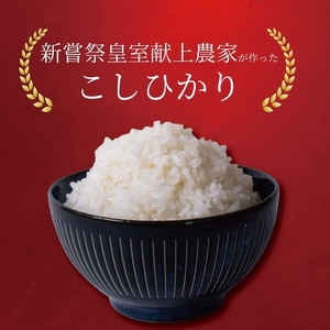 【令和7年産】 新米 定期便 5kg×6回 コシヒカリ 新米 AS019