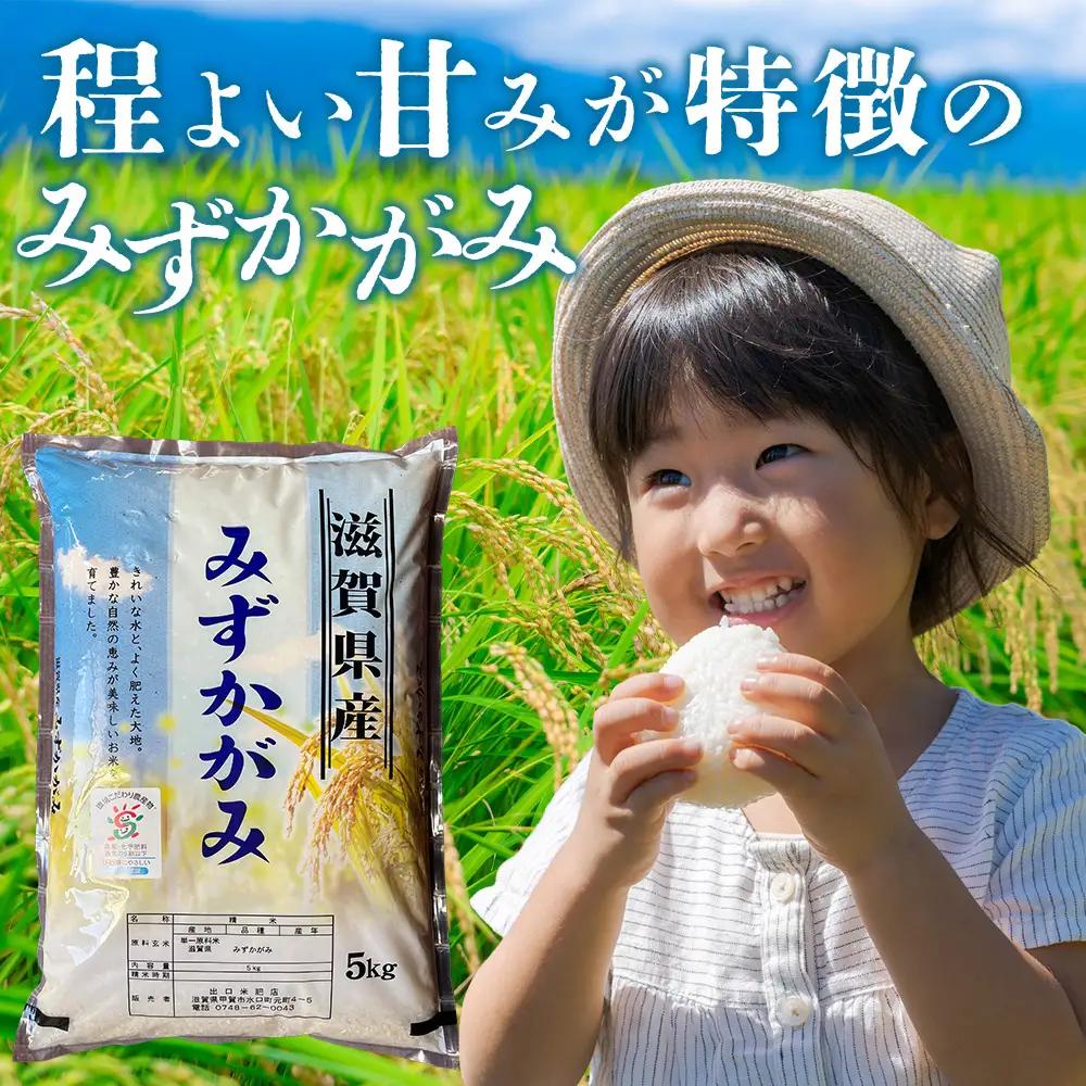 【令和8年産 新米 先行予約】【定期便】近江米みずかがみ 10kgx3回定期便（精米）※2026年9月～発送
