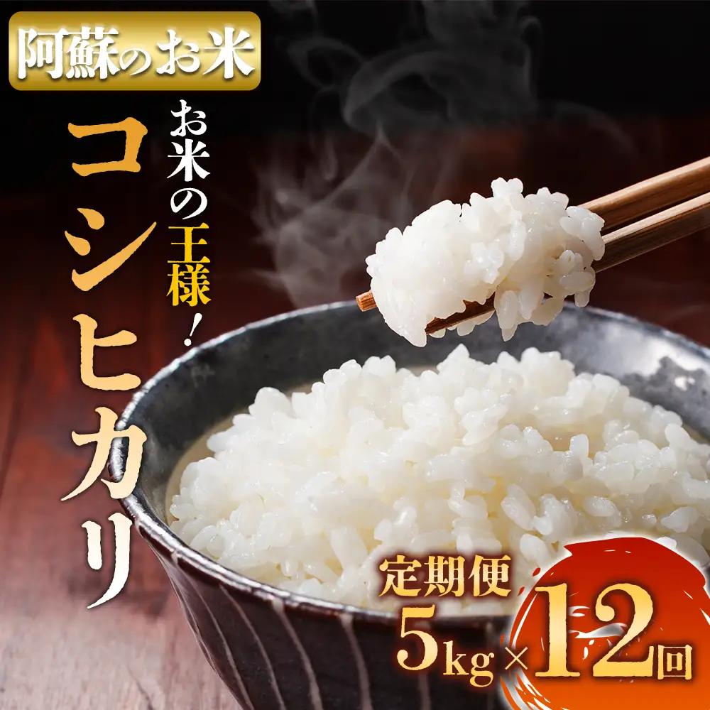 【定期便12回】R7年産コシヒカリ 5kg プロ厳選の産地直送米 白米 お米 人気 美味しい 白ご飯 こだわり 農業 甘味 香り ツヤ お米の王様 熊本県 阿蘇市