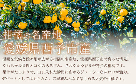 ＜訳あり 清見 (サイズ混合) 約5kg＞ 愛媛 蜜柑 ミカン みかん 果物 フルーツ 柑橘 国産 きよみ 訳アリ ご家庭用 愛媛県産 西予市産 西宇和 特産品 丸二青果 愛媛県 西予市【常温】『20