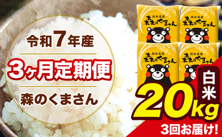 米 令和7年産 森のくまさん 白米 20kg 5kg×4袋 計3回お届け 《お申込み翌月から出荷》 お米 こめ 熊本県産 ご飯 備蓄