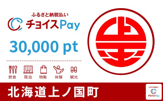 
            上ノ国町チョイスPay 30,000pt【会員限定のお礼の品】
          