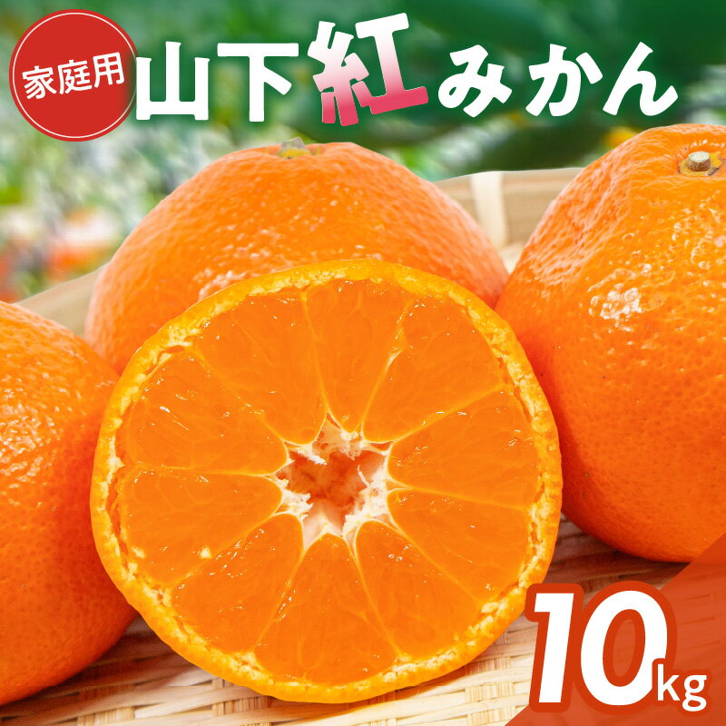 【ふるさと納税】【数量限定】辻本農園 訳あり 山下紅みかん 家庭用 10kg キズあり【栽培が難しく市場に出回りにくい幻のみかん】