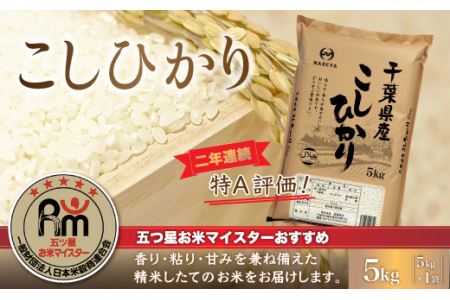 【新米】令和6年産 2年連続特A評価!千葉県産コシヒカリ5kg（5kg×1袋） E006