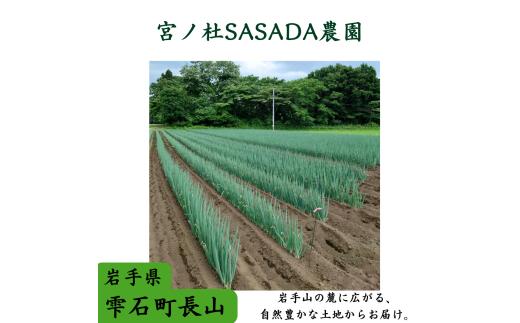 雫石町産 長ねぎ 約5kg 【宮ノ杜SASADA農園】 長ネギ 長葱 ねぎ ネギ 葱 白ねぎ 白ネギ 白葱 新鮮 野菜 生野菜 やさい 人気野菜 国産 産地直送 農家直送 人気 おすすめ 5キロ ５k