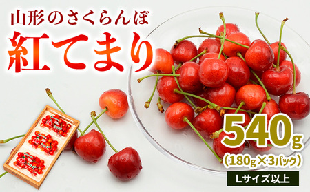 山形のさくらんぼ 紅てまり 540g Lサイズ以上 (180g×3パック) 【令和8年産先行予約】FS25-018