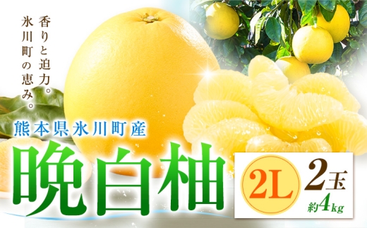 柑橘 晩白柚 2L 2玉 4kg 日本フルーツ株式会社《12月上旬-2月末頃出荷》熊本県 氷川町 ばんぺいゆ 果物 フルーツ 大玉 爽やか 甘み 酸味 香り 常温保存 柑橘類 冬 果肉 プリッ 食べ応え