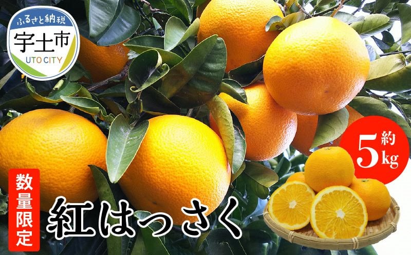 
                  進栄　完熟紅はっさく約5kg　　2月中頃から発送
                