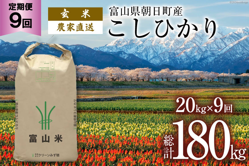 
            【9ヶ月定期便】玄米 20kg コシヒカリ 計180kg [有限会社 クリーンみず穂 富山県 朝日町 34310361] お米 コシヒカリ コメ ご飯 ごはん 白米 農家 直送 一等米
          