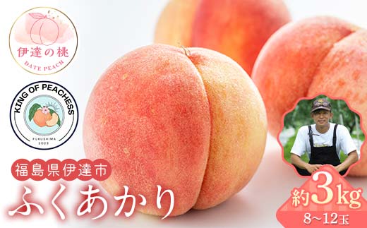 
            キングオブピーチ 桃 「ふくあかり」約3kg（8～12玉）ふくあかり 伊達の桃 桃 もも モモ 果物 くだもの フルーツ 国産 食品 F21C-136
          