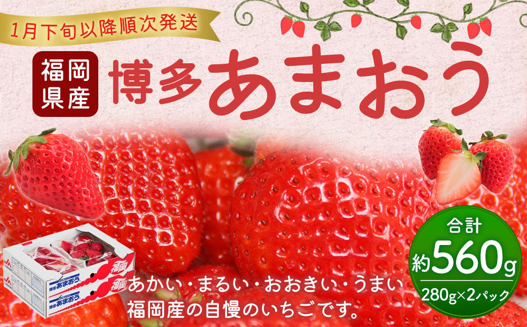 
福岡県産 博多あまおう約560g（約280g×2パック入り） いちご 苺 イチゴ フルーツ 果物 くだもの 【2025年1月下旬～3月下旬発送予定】
