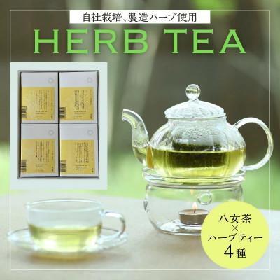 ふるさと納税 八女市 中村園　ハーブ×八女茶ブレンド　4種セット