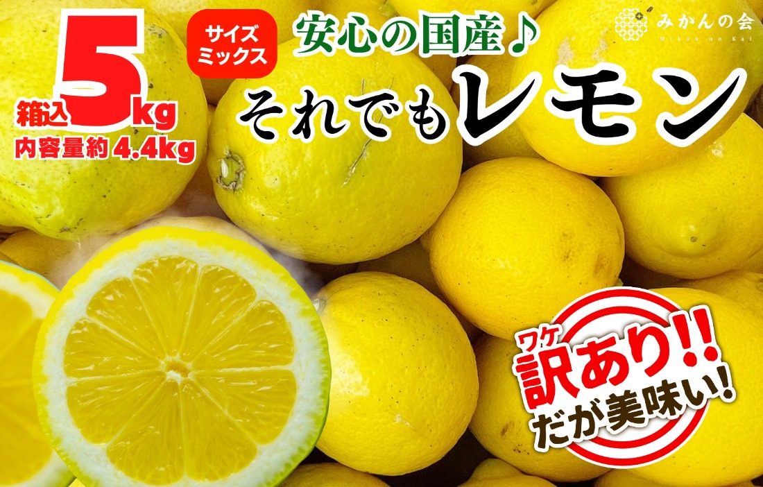 訳あり レモン B品  箱込5kg(内容量約4.4kg) 和歌山県有田産（サイズミックス）【みかんの会】  AX80