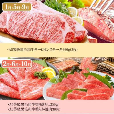 ふるさと納税 枕崎市 定期便(4回配送)A5等級黒毛和牛シャトーブリアン・サーロインステーキetc GG-0030 |  | 01