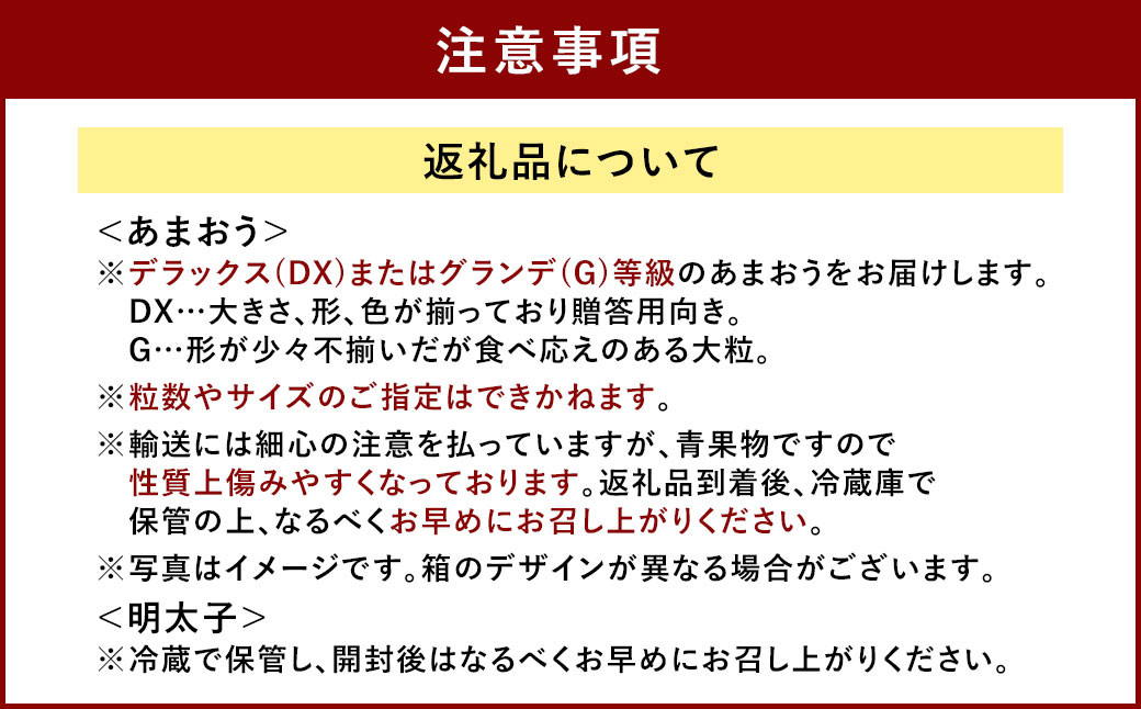あまおう＆ふくや 味の明太子 290g セット