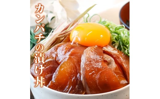 訳あり海鮮漬け丼（タイ12P・カンパチ8P）セット 漬け丼 漬け 鯛 かんぱち 勘八 白身魚 食べ比べ 海鮮 魚 冷凍  高知 土佐 海鮮丼 漬け丼 ぶっかけ 鯛めし 惣菜 そうざい 訳アリ わけあり