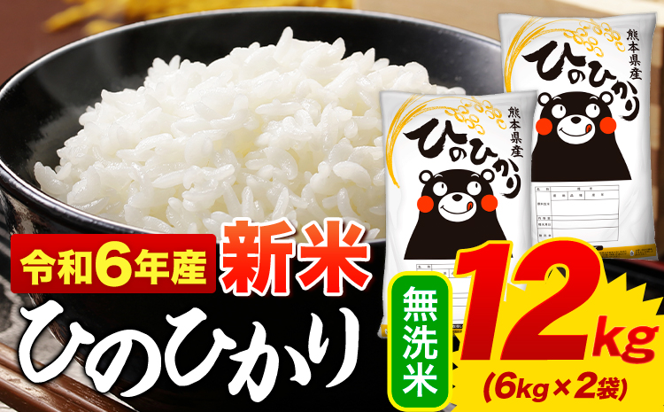 無洗米 ひのひかり 12kg 令和6年産 新米 熊本県産 ふるさと納税 無洗米  精米 ひの 米 こめ ふるさとのうぜい ヒノヒカリ コメ お米 おこめ---mf_hn6_af11_24_21500_12kg_m---