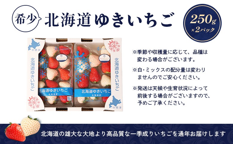 【受注後、随時発送！】【北海道産】ゆきいちご（ゆきぼたん/すず）赤白MIX×2Pセット 250g×2 計500g 苺 白いちご 一季成りイチゴ 希少 ギフト お取り寄せ ふるさと納税 北海道 中標津【5900301】
