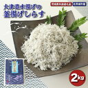 【ふるさと納税】大津港水揚げの釜揚げしらす 2kg 茨城県共通返礼品・北茨城市産 新鮮 しらす 地元大赤穂 天然塩 ふっくら 釜揚げ 安心 安全 減塩仕立て 健康 しらす丼 魚介類 海産物 魚 シラス やみつき ご飯のお供 おつまみ 酒の肴 おやつ サラダ 送料無料