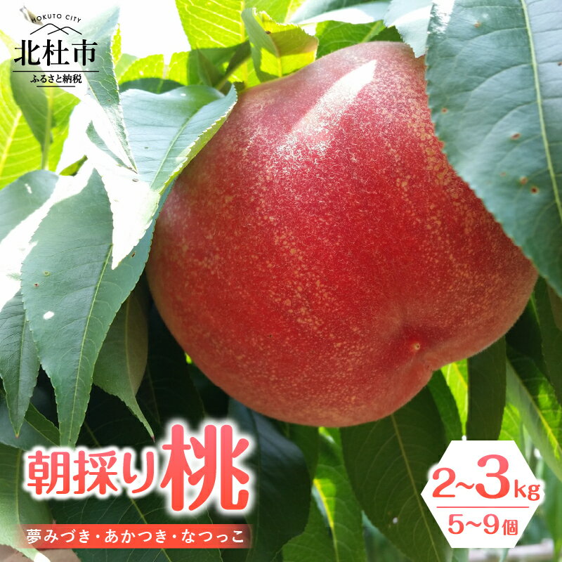 【ふるさと納税】 【2025年度先行予約】 山梨県産 桃 朝採り 選べる 容量 2kg 3kg 5～9個 夢みづき あかつき なつっこ ミックス オリジナル 品種 堅い桃 北杜市 八ヶ岳 送料無料