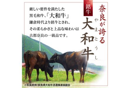 希少和牛 大和牛焼肉セット 【年末年始12月26日?1月7日の着日指定不可】牛肉 特選和牛 特上肉 ロース 肉 焼肉 黒毛和牛 牛肉  焼き肉 上カルビ 上質霜降り ロース肉 カルビ 特上和牛 大和牛