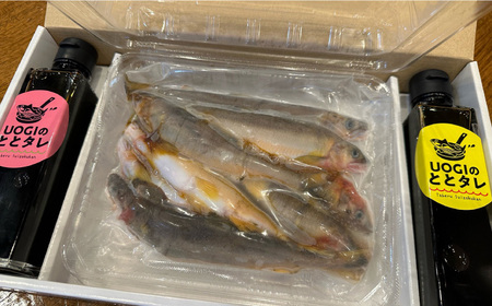 ＜自分でつくる＞鮎の甘露煮セット【長良川天然鮎】 魚 あゆ タレ 岐阜市/合資会社　魚ぎ [ANEB001]