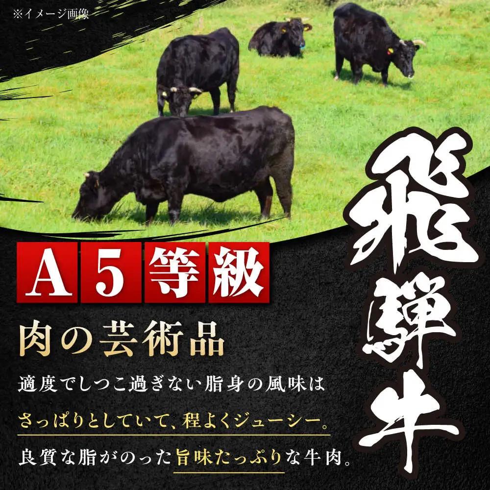 飛騨牛 A5 ヒレ 150g×4枚 / 恵那市 / 東美濃農業協同組合 [AUFX018]