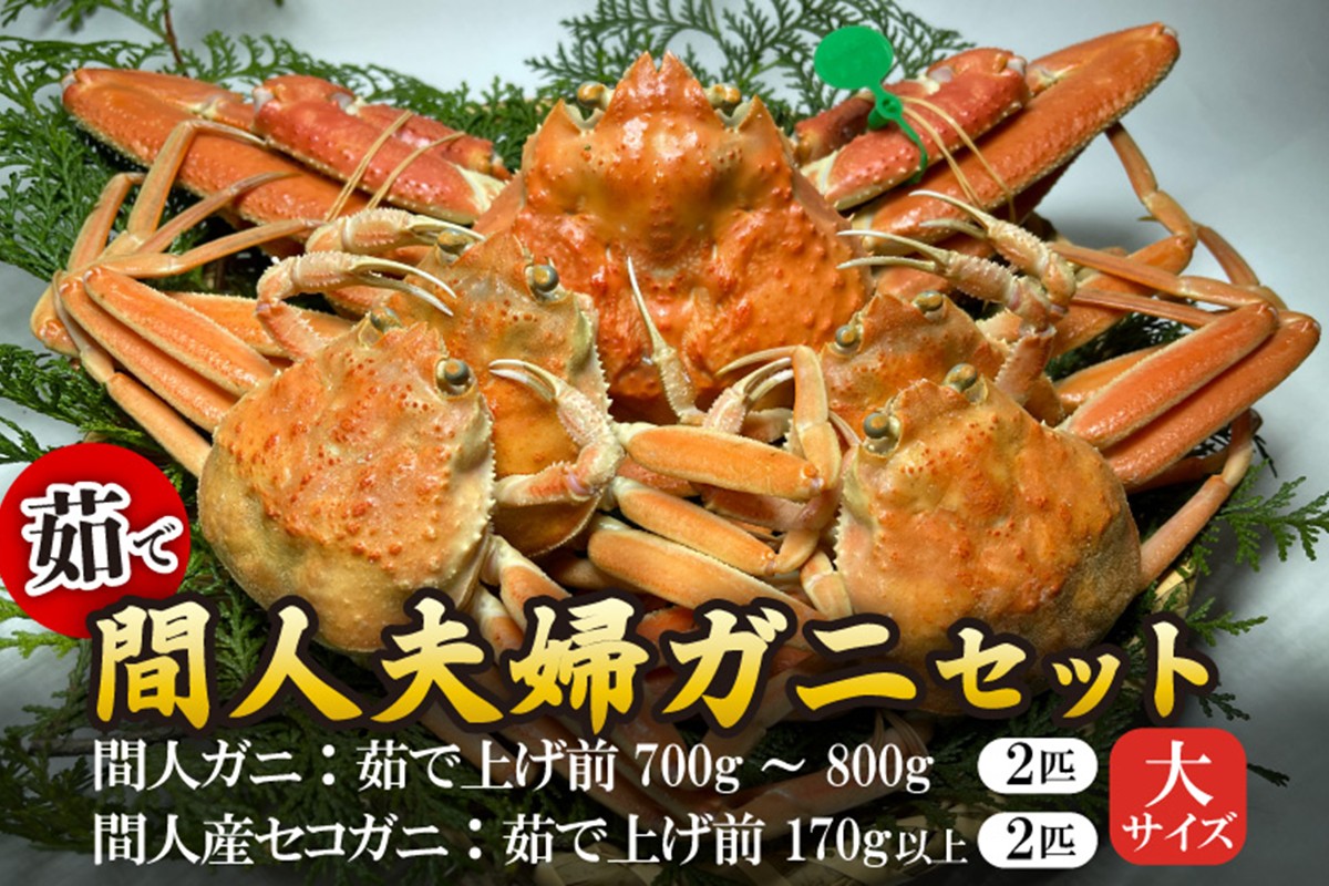 間人漁港仲買人の丸友鮮魚三代目・自慢の間人夫婦ガニセット≪茹で≫[大サイズ]　MG00019