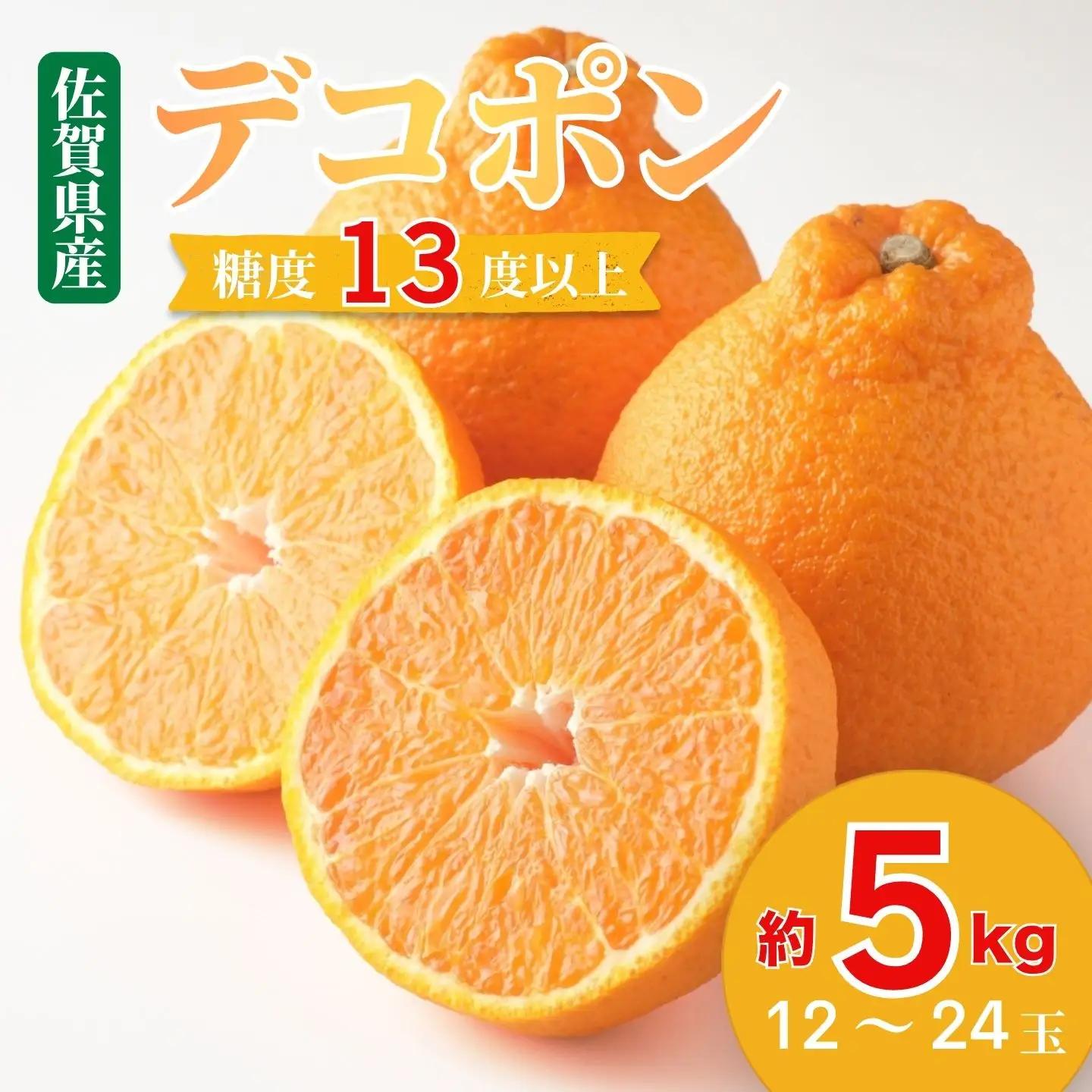 デコポン 佐賀みかん デコポン不知火 B195-006